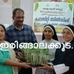 കപ്പാസിറ്റി ബില്‍ഡിംഗ്; പ്രതീക്ഷാഭവനില്‍ ജൈവ പച്ചക്കറി കൃഷി പരിശീലനം സംഘടിപ്പിച്ചു