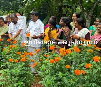 പുല്ലൂര്‍ സഹൃദയ കുടുംബശ്രീയുടെ നേതൃത്വത്തില്‍ കൃഷി ചെയ്ത ചെണ്ടുമല്ലിയുടെ വിളവെടുപ്പ് ഇരിങ്ങാലക്കുട ബ്ലോക്ക് പഞ്ചായത്ത് പ്രസിഡന്റ് ടി.ജി. ശങ്കരനാരായണന്‍ ഉദ്ഘാടനം ചെയ്യുന്നു.