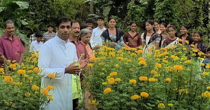 ഫോട്ടോ ക്യാപ്ഷന്‍: മൂര്‍ക്കനാട് സെന്റ് ആന്റണീസ് പള്ളിയില്‍ മതബോധന വിഭാഗത്തിന്റെ നേതൃത്വത്തില്‍ കുട്ടികള്‍ കൃഷി ചെയ്ത ചെണ്ടുമല്ലിയുടെ വിളവെടുപ്പ് വികാരി ഫാ. ബിനീഷ് കോട്ടക്കല്‍ ഉദ്ഘാടനം ചെയ്യുന്നു