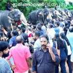 കൂടല്‍മാണിക്യം ക്ഷേത്രം ആനയൂട്ട് നടത്തി