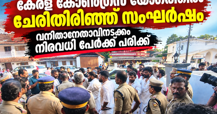 MLA POSTER
