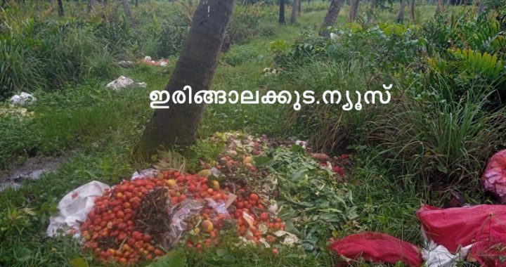 പടിയൂര്‍ പഞ്ചായത്ത് കാക്കാത്തുരുത്തി തെക്കുഭാഗത്ത് പുഴയോട് ചേര്‍ന്നുള്ള സ്ഥലത്ത് മാലിന്യം തള്ളിയ നിലയില്‍.