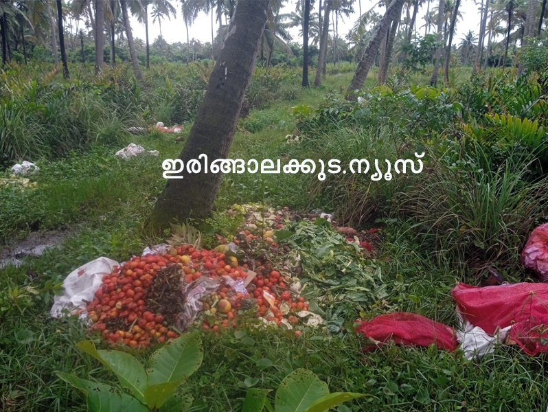 പടിയൂര്‍ പഞ്ചായത്ത് കാക്കാത്തുരുത്തി തെക്കുഭാഗത്ത് പുഴയോട് ചേര്‍ന്നുള്ള സ്ഥലത്ത് മാലിന്യം തള്ളിയ നിലയില്‍.