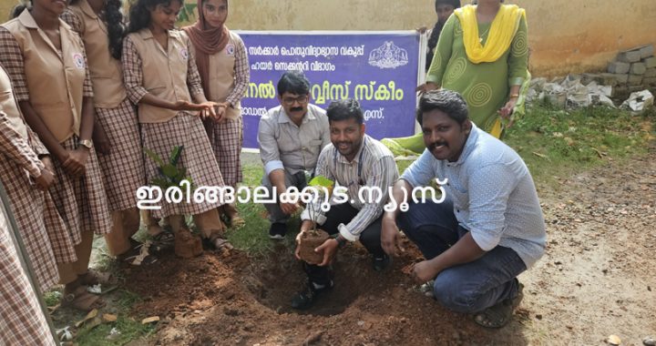 ഇരിങ്ങാലക്കുട ഗവ. മോഡല്‍ ബോയ്‌സ് ഹയര്‍സെക്കന്‍ഡറി സ്‌കൂളില്‍ നാഷണല്‍ സര്‍വീസ് സ്‌കീമിന്റെ ആഭിമുഖ്യത്തില്‍ ഇരിങ്ങാലക്കുട കൃഷിഭവനുമായി സഹകരിച്ചു കൊണ്ട് നടപ്പിലാക്കുന്ന ഫലവൃക്ഷ പോഷക തോട്ട നിര്‍മാണ പദ്ധതിയുടെ നിര്‍മാണോദ്ഘാടനം ഇരിങ്ങാലക്കുട കൃഷിഭവനിലെ അഗ്രികള്‍ച്ചറല്‍ അസിസ്റ്റന്റ് പി.എസ്. വിജയ്കുമാര്‍ ഫല വൃക്ഷതൈ നട്ടുകൊണ്ട് നിര്‍വഹിക്കുന്നു.