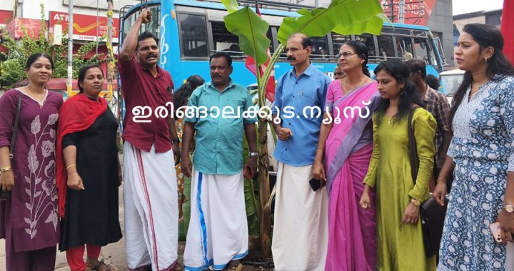 ഇരിങ്ങാലക്കുട ബസ് സ്റ്റാന്‍ഡ് ഠാണ റോഡില്‍ കാനയ്ക്ക് മുകളിലെ കോണ്‍ക്രീറ്റ് സ്ലാബ് തകര്‍ന്ന് രൂപപ്പെട്ട അപകടക്കുഴിയില്‍ എല്‍ഡിഎഫ് കൗണ്‍സിലര്‍മാര്‍ വാഴ നട്ട് പ്രതിഷേധിക്കുന്നു.