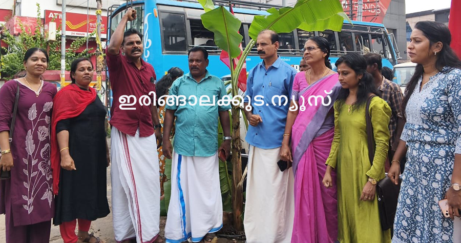 ഇരിങ്ങാലക്കുട ബസ് സ്റ്റാന്‍ഡ് ഠാണ റോഡില്‍ കാനയ്ക്ക് മുകളിലെ കോണ്‍ക്രീറ്റ് സ്ലാബ് തകര്‍ന്ന് രൂപപ്പെട്ട അപകടക്കുഴിയില്‍ എല്‍ഡിഎഫ് കൗണ്‍സിലര്‍മാര്‍ വാഴ നട്ട് പ്രതിഷേധിക്കുന്നു.