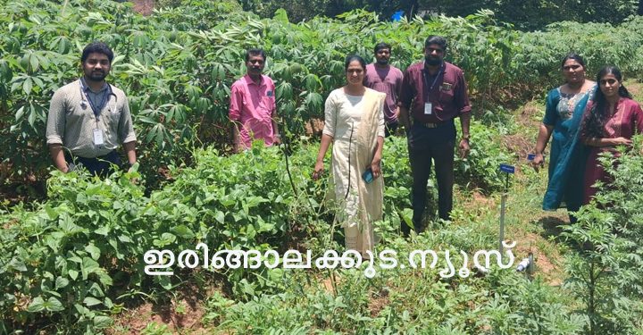 പൊറത്തിശേരി പ്രാഥമികാരോഗ്യകേന്ദ്രം വളപ്പിലെ പച്ചക്കറിത്തോട്ടത്തില്‍ മെഡിക്കല്‍ ഓഫീസര്‍ ഡോ. ഫാരിസും ജൂണിയര്‍ ഹെല്‍ത്ത് ഇന്‍സ്‌പെക്ടര്‍ എന്‍.ആര്‍. രതീഷും ജീവനക്കാരും.