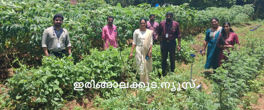 പൊറത്തിശേരി പ്രാഥമികാരോഗ്യകേന്ദ്രം വളപ്പിലെ പച്ചക്കറിത്തോട്ടത്തില്‍ മെഡിക്കല്‍ ഓഫീസര്‍ ഡോ. ഫാരിസും ജൂണിയര്‍ ഹെല്‍ത്ത് ഇന്‍സ്‌പെക്ടര്‍ എന്‍.ആര്‍. രതീഷും ജീവനക്കാരും.