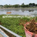 കോടികള്‍ ചെലവഴിച്ചു, ഒരു വര്‍ഷം തികയും മുമ്പേ കാടുകയറി; പൊതുമ്പുചിറയോരം ടൂറിസം പദ്ധതി തകര്‍ച്ചയില്‍