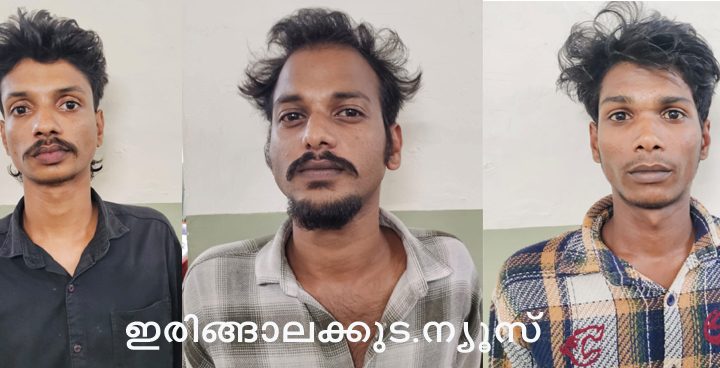 പ്രതി സാന്‍ജോ സണ്ണി (26), സാന്‍ജോ ജോര്‍ജ് (22), ലിബിന്‍ (20).